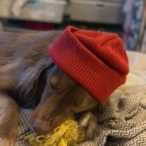 Meet your Posher, Vannezsa